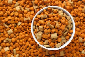 Uy hayvonlari uchun ovqat