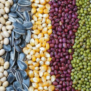 Avtomatik urug'larni qadoqlash mashinasi